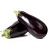 aubergine