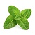 menthe